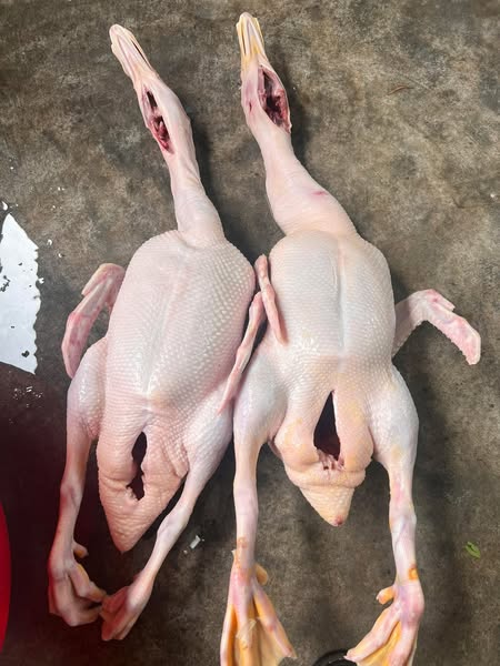 514359807_2477396365980230_6756849288398926457_n 514359807_2477396365980230_6756849288398926457_n