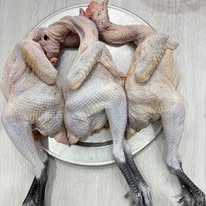 528379486_841814918370214_8361543272257087827_n 528379486_841814918370214_8361543272257087827_n