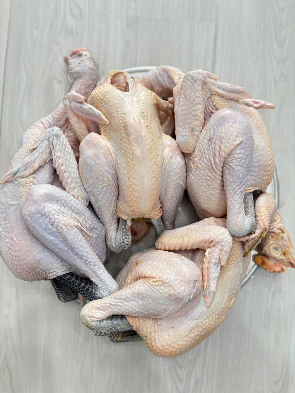 z6959964697478_689d9356641b0940adee687a456e1d05 z6959964697478_689d9356641b0940adee687a456e1d05