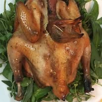 494700068_765779075973799_5047737026112813549_n 494700068_765779075973799_5047737026112813549_n