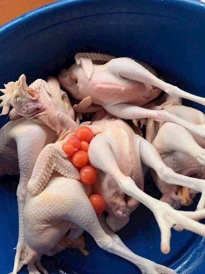 525883575_1249471140301383_2777271635697982159_n 525883575_1249471140301383_2777271635697982159_n