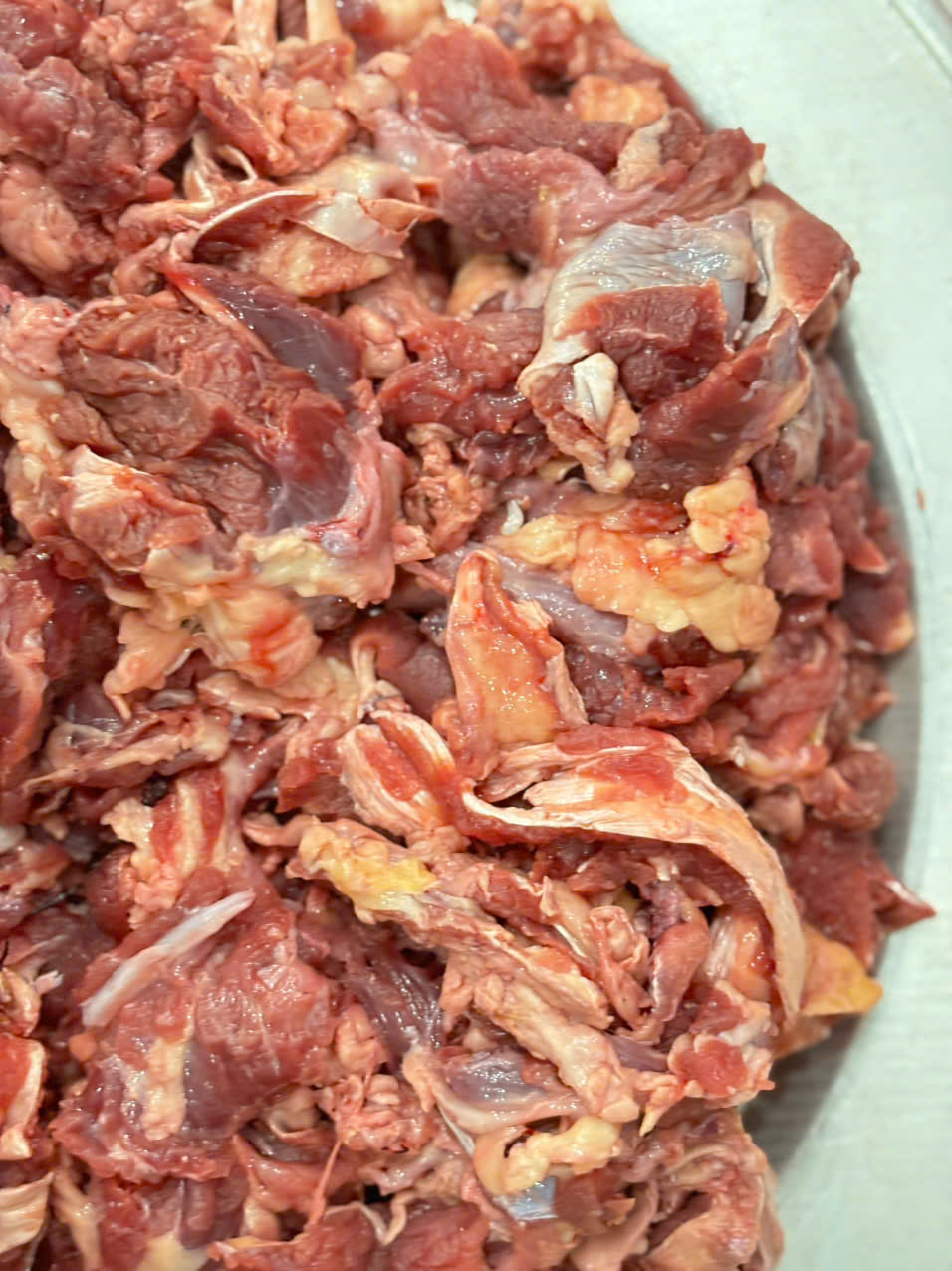 z6886835251941_656ed55b372f8c8ed7b52ef229850058 z6886835251941_656ed55b372f8c8ed7b52ef229850058